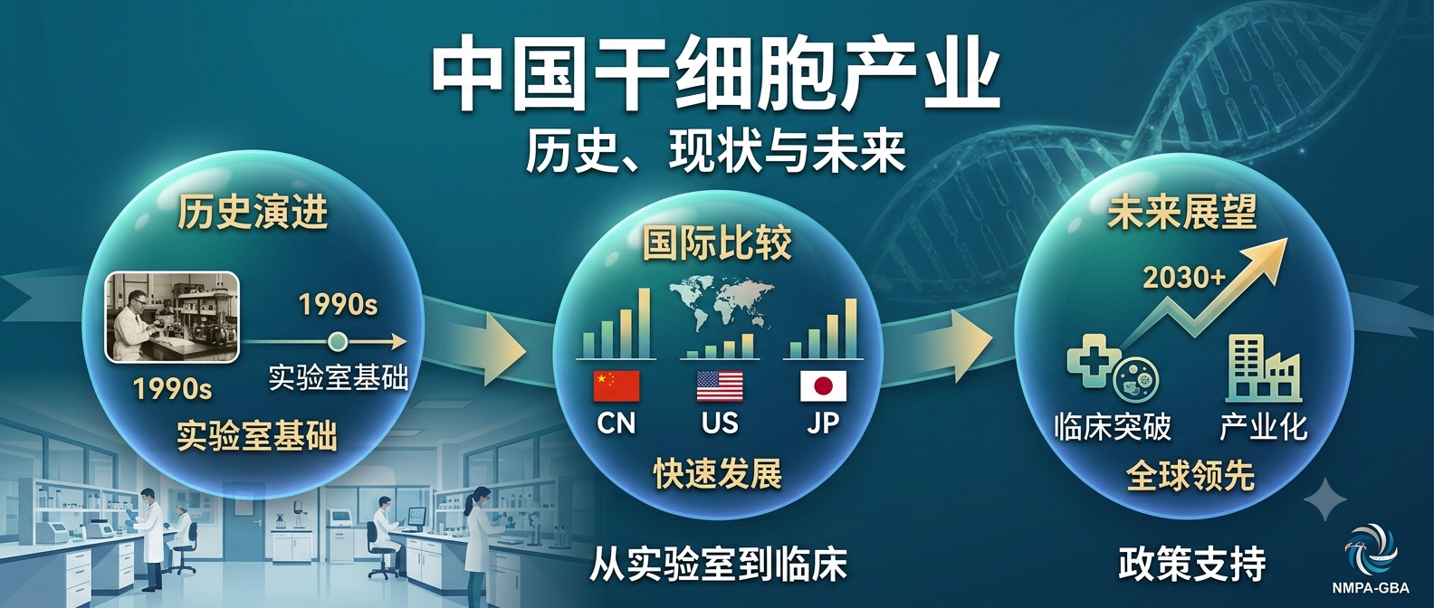 药品大湾区分中心新综述:中国干细胞产业的历史演进、国际比较与监管展望 药品大湾区分中心新综述:中国干细胞产业的历史演进、国际比较与监管展望