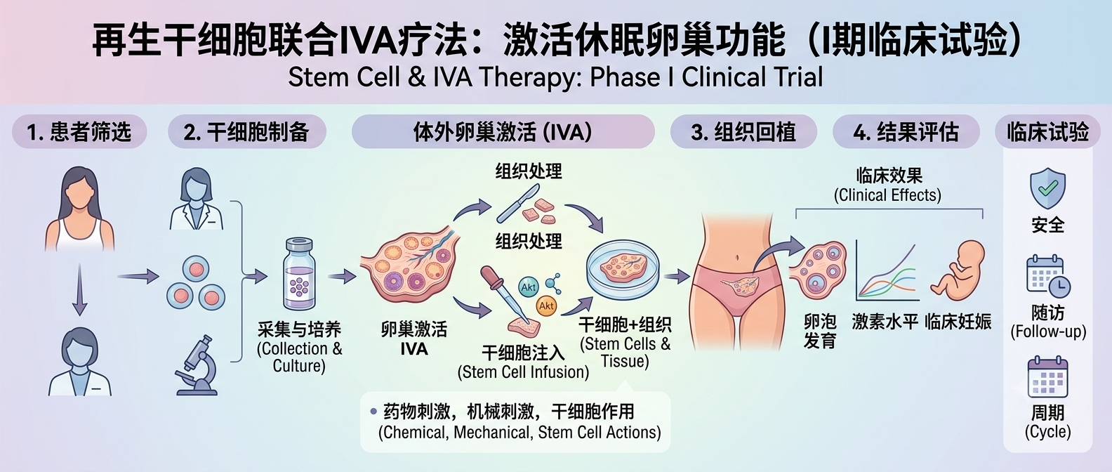 再生干细胞联合IVA疗法:激活休眠卵巢功能(1期临床试验) 再生干细胞联合IVA疗法:激活休眠卵巢功能(1期临床试验)