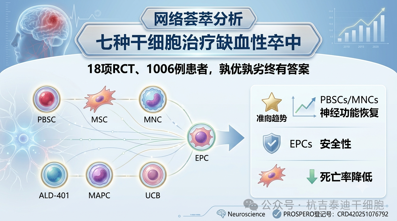 七种干细胞疗法治疗缺血性卒中的疗效与安全性比较：一项网络荟萃分析