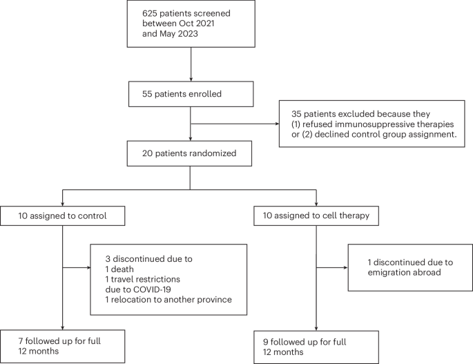 图1：患者招募、随机分组和评估流程图已绘制完成。