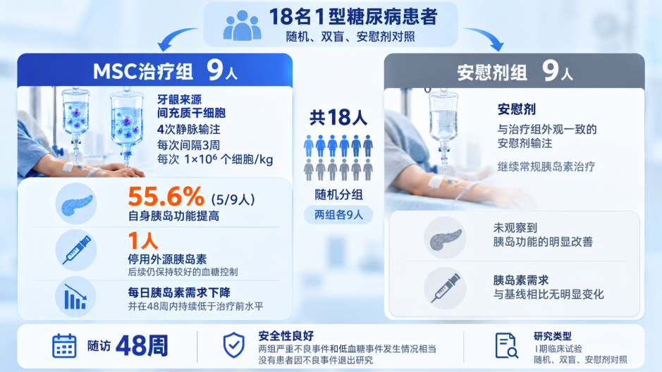 18名1型糖尿病患者随机、双盲、安慰剂对照 18名1型糖尿病患者随机、双盲、安慰剂对照
